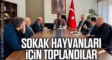 Sokak hayvanları için toplandılar