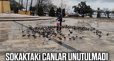 SOKAKTAKİ CANLAR UNUTULMADI