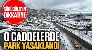 Sürücülerin Dikkatine: O Caddelere Park Yasaklandı