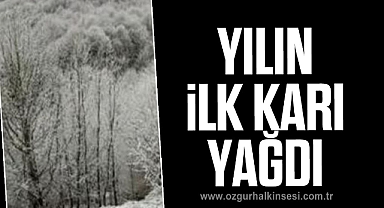YILIN İLK KARI YAĞDI