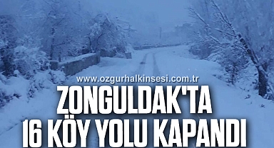 Zonguldak'ta 16 Köy Yolu Kapandı