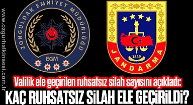 Zonguldak'ta Kaç Ruhsatsız Silah Ele Geçirildi?
