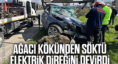 AĞACI KÖKÜNDEN SÖKTÜ, ELEKTRİK DİREĞİNİ DEVİRDİ