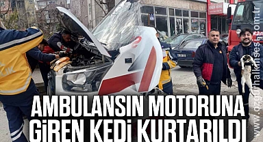 Ambulansın motoruna giren kedi kurtarıldı