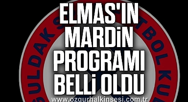 Elmas'ın Mardin Programı Belli Oldu
