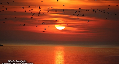 GÜNÜN FOTOĞRAFI
