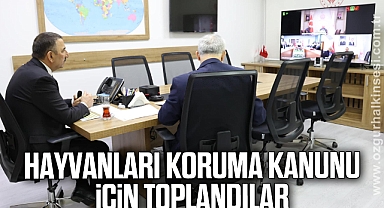 Hayvanları Koruma Kanunu İçin Toplandılar