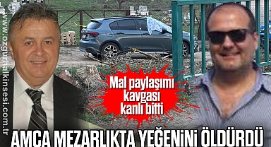 Mal paylaşımı kavgası kanlı bitti: Amca, mezarlıkta yeğenini öldürdü