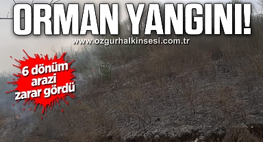 Orman yangını! 6 dönüm arazi zarar gördü