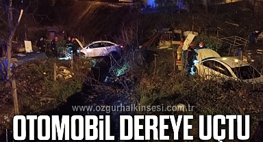 Otomobil dereye uçtu