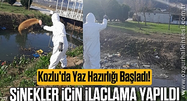 Sinekler İçin İlaçlama Yapıldı