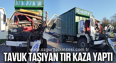 Tavuk taşıyan tır kaza yaptı