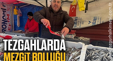 Tezgahlarda mezgit bolluğu