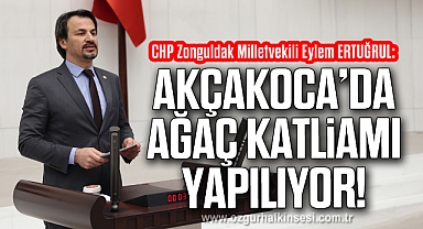 AKÇAKOCA’DA AĞAÇ KATLİAMI YAPILIYOR!
