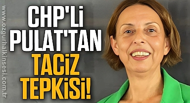 CHP'li Pulat'tan Taciz Tepkisi!