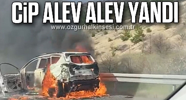 Cip alev alev yandı