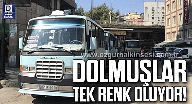 Dolmuşlar Tek Renk Oluyor!