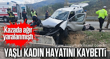 Kazada ağır yaralanmıştı: Yaşlı kadın hayatını kaybetti