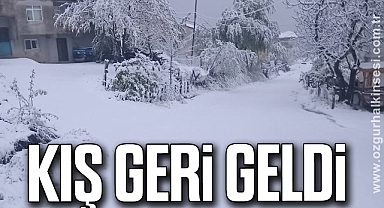 KIŞ GERİ GELDİ