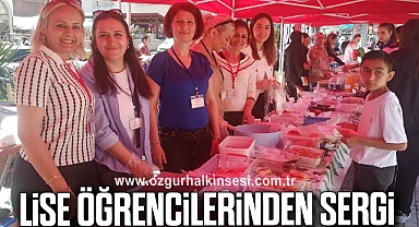 Lise öğrencilerinden sergi