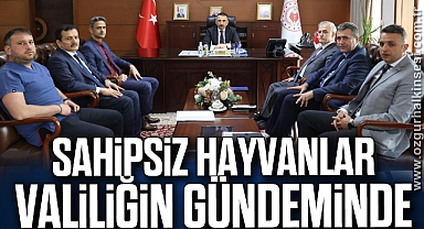 Sahipsiz Hayvanlar Valiliğin Gündeminde