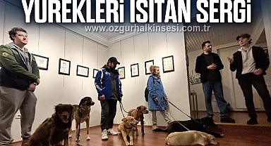 Yürekleri Isıtan Sergi