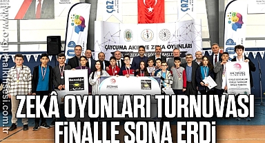 Zekâ Oyunları Turnuvası finalle sona erdi