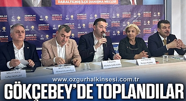 AKP Gökçebey'de Danışma Meclisi Toplandı