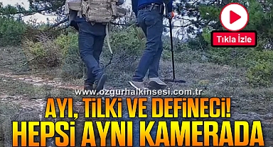 Ayı, Tilki ve Defineci! Hepsi Aynı Kamerada