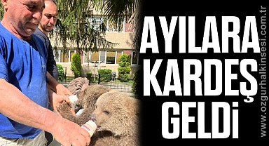 AYILARA KARDEŞ GELDİ