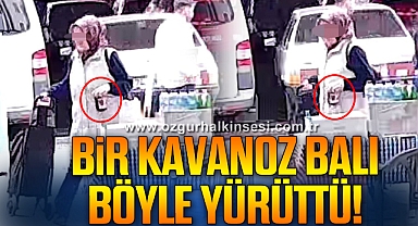 Bal ve çaydanlık seti çalan kadın yakalandı