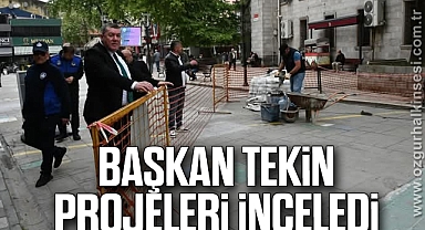 Başkan Tekin Projeleri İnceledi