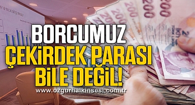 BORCUMUZ ÇEKİRDEK PARASI BİLE DEĞİL