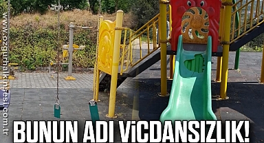 BUNUN ADI VİCDANSIZLIK!