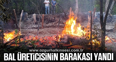 Çaycuma'da bal üreticisinin barakası yandı