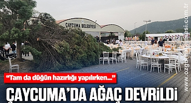 Çaycuma'da fırtına ağaç devirdi: