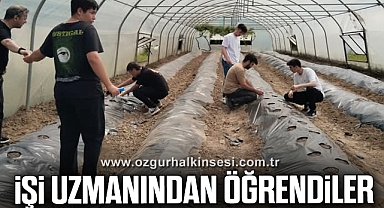 Çilek Yetiştiriciliğini Uzmanlardan Öğrendiler