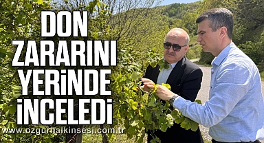 Don Zararını Yerinde İnceledi