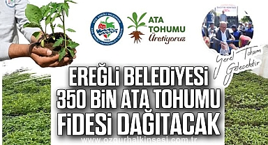 EREĞLİ BELEDİYESİ, 350 BİN ATA TOHUMU FİDESİ DAĞITACAK