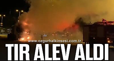 Ereğli'de seyir halindeki TIR alev aldı