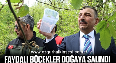 Faydalı Böcekler Doğaya Salındı