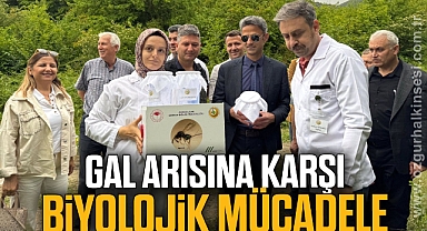 Gal arısına karşı biyolojik mücadele