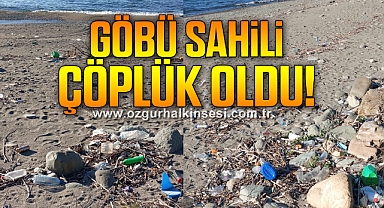 Göbü Sahili Çöplük Oldu! Acilen Temizlemeli!