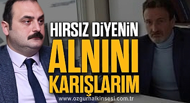 “HIRSIZ DİYENİN ALNINI KARIŞLARIM”
