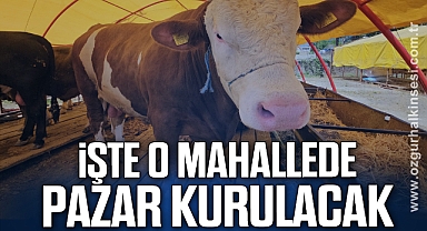 İşte O Mahallede Pazar Kurulacak