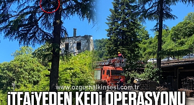 İTFAİYEDEN KEDİ OPERASYONU