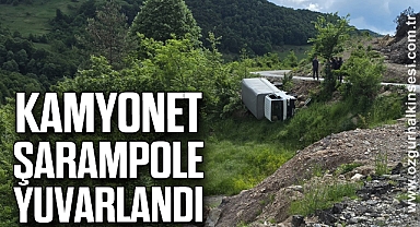 Kamyonet şarampole yuvarlandı