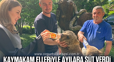 KAYMAKAM ELLERİYLE AYILARA SÜT VERDİ