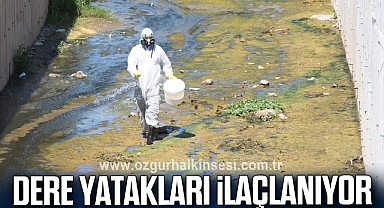 KDZ. EREĞLİ’DE DERE YATAKLARI İLAÇLANIYOR
