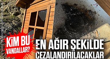 Kim Bu Vandallar?
